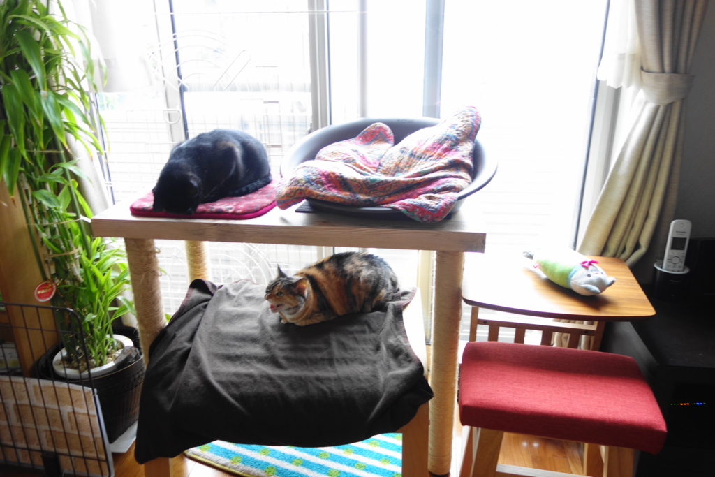 f:id:hiraryo0201:20160725094906j:plain f:id:hiraryo0201:20160725094906j:plain