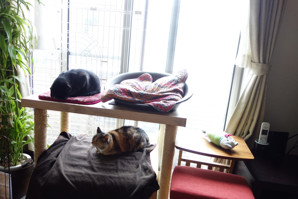 f:id:hiraryo0201:20160725094912j:plain f:id:hiraryo0201:20160725094912j:plain