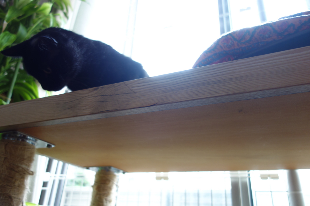 f:id:hiraryo0201:20160725095932j:plain f:id:hiraryo0201:20160725095932j:plain