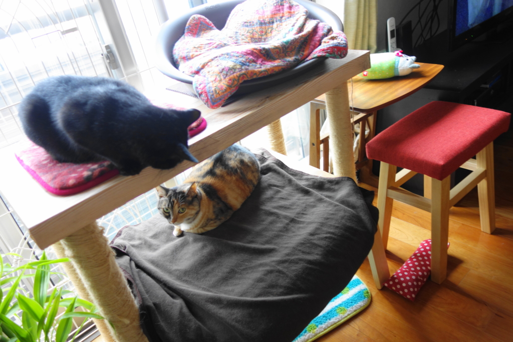 f:id:hiraryo0201:20160725100056j:plain f:id:hiraryo0201:20160725100056j:plain