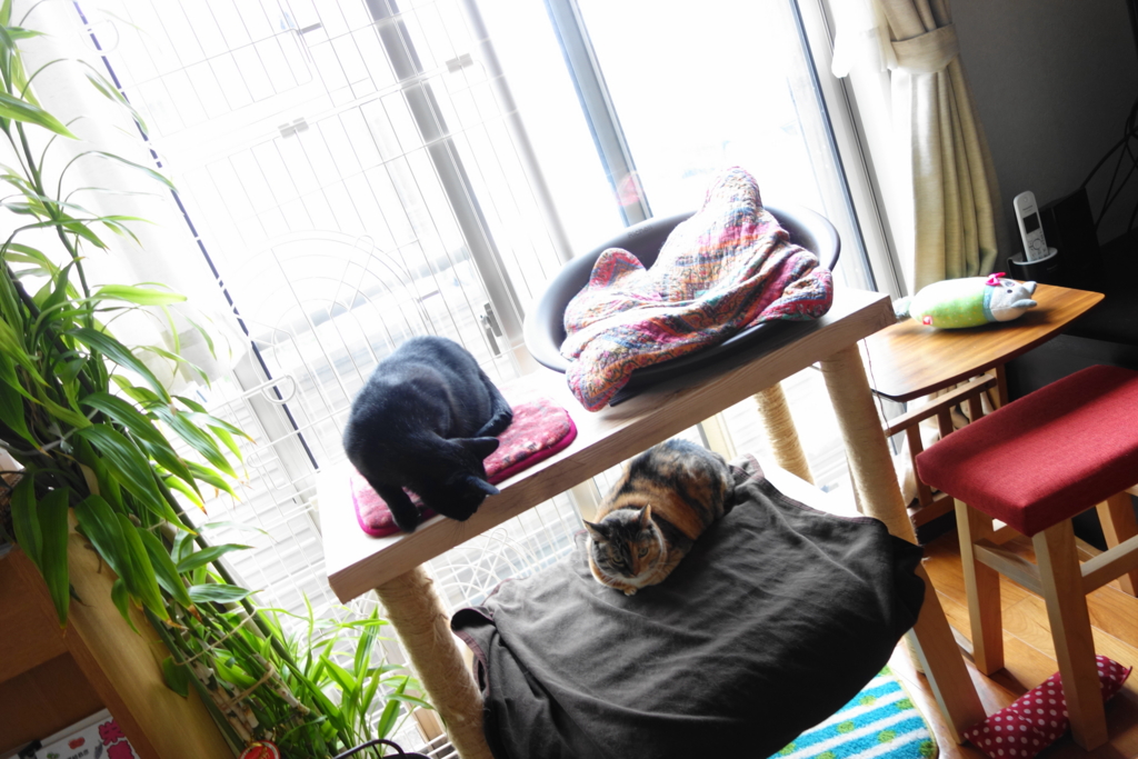 f:id:hiraryo0201:20160725100141j:plain f:id:hiraryo0201:20160725100141j:plain