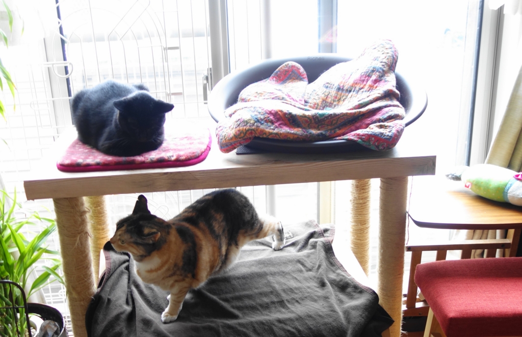 f:id:hiraryo0201:20160725101020j:plain f:id:hiraryo0201:20160725101020j:plain