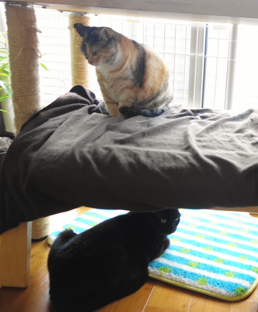 f:id:hiraryo0201:20160725101055j:plain f:id:hiraryo0201:20160725101055j:plain