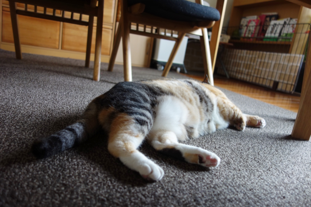 f:id:hiraryo0201:20160725102758j:plain f:id:hiraryo0201:20160725102758j:plain