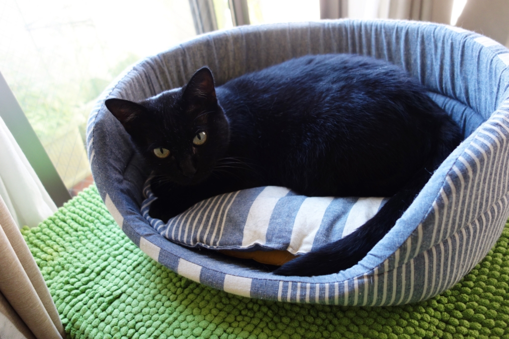 f:id:hiraryo0201:20160801092508j:plain f:id:hiraryo0201:20160801092508j:plain