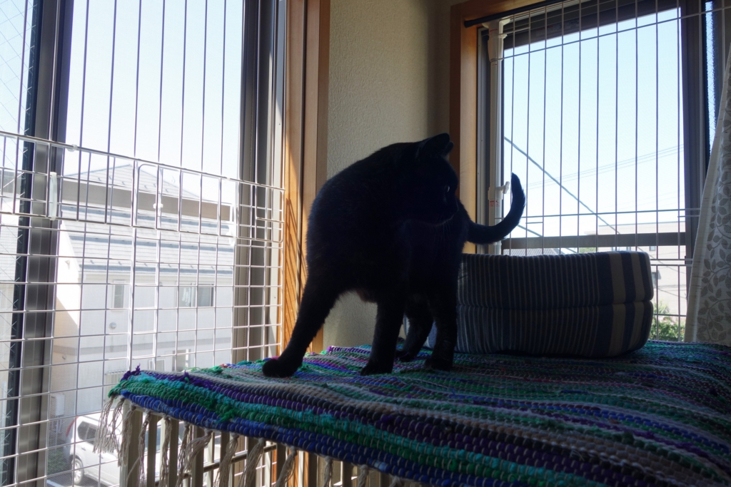 f:id:hiraryo0201:20160801092530j:plain f:id:hiraryo0201:20160801092530j:plain