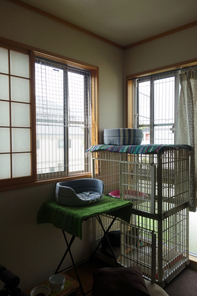 f:id:hiraryo0201:20160801092543j:plain f:id:hiraryo0201:20160801092543j:plain