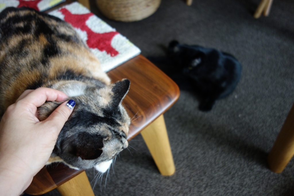 f:id:hiraryo0201:20160801092628j:plain f:id:hiraryo0201:20160801092628j:plain