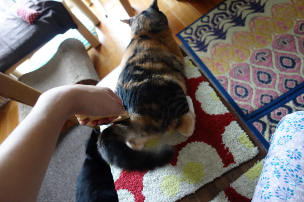 f:id:hiraryo0201:20160801094506j:plain f:id:hiraryo0201:20160801094506j:plain