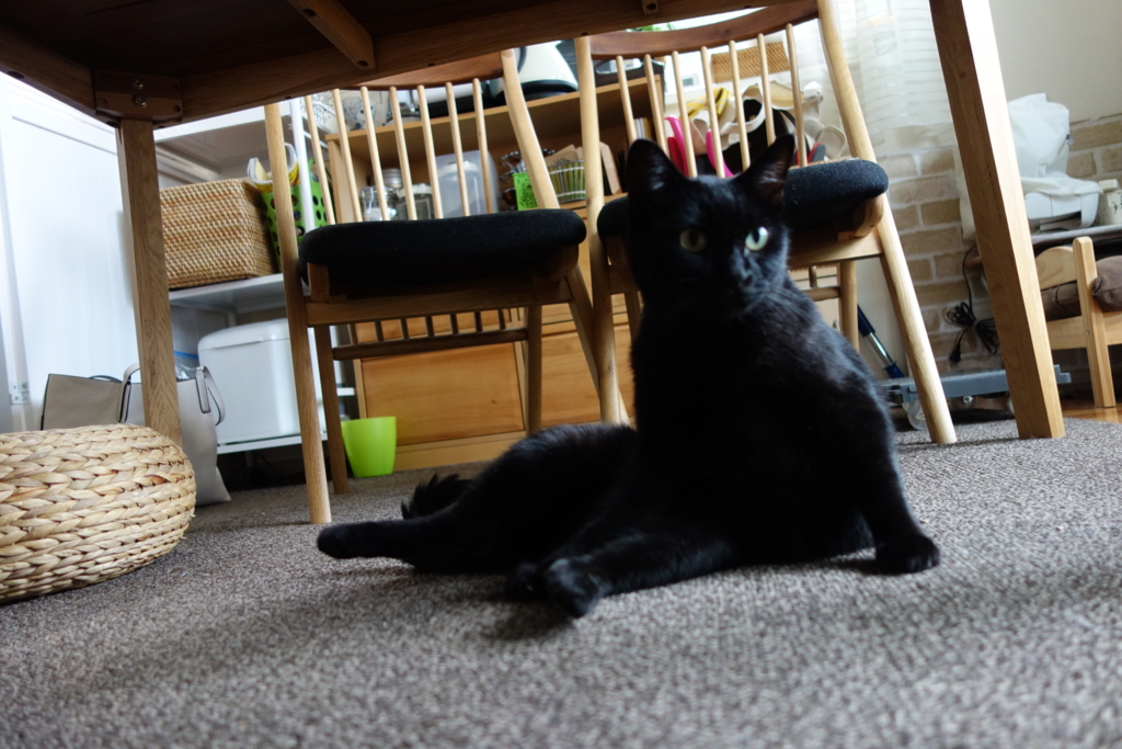 f:id:hiraryo0201:20160801094938j:plain f:id:hiraryo0201:20160801094938j:plain