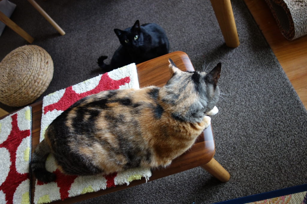 f:id:hiraryo0201:20160801095015j:plain f:id:hiraryo0201:20160801095015j:plain