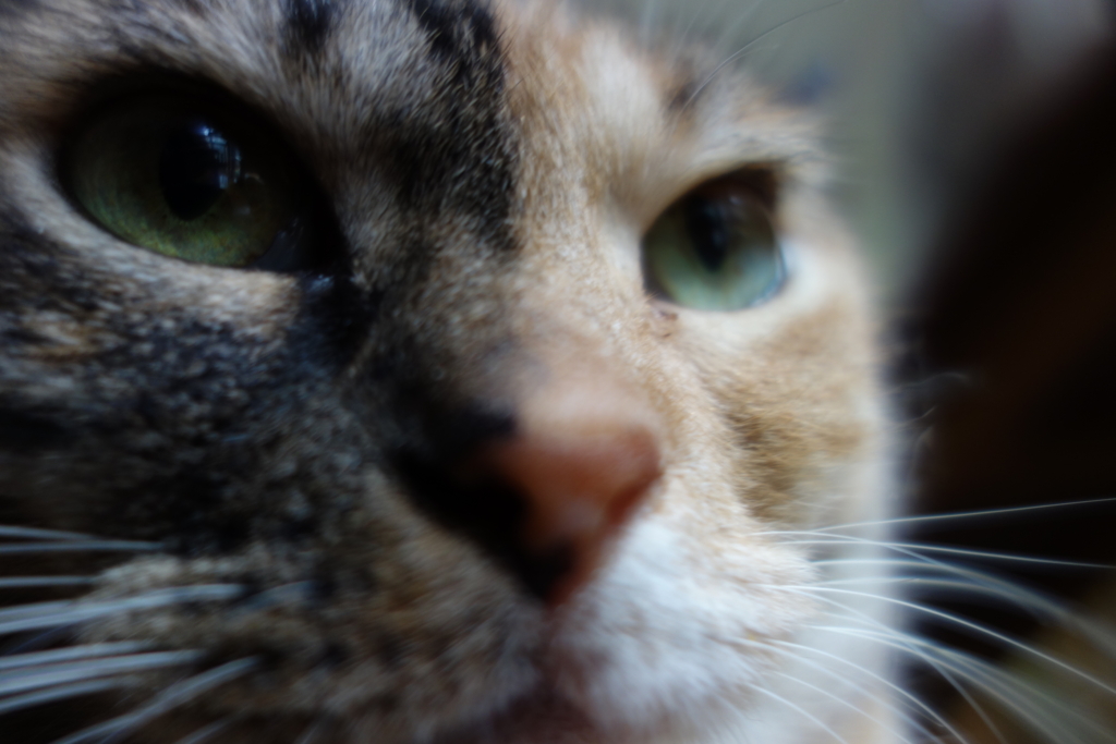 f:id:hiraryo0201:20160801100146j:plain f:id:hiraryo0201:20160801100146j:plain