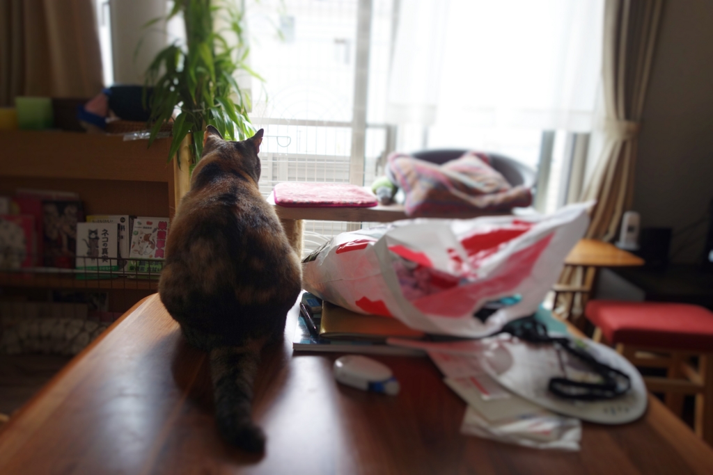 f:id:hiraryo0201:20160801100226j:plain f:id:hiraryo0201:20160801100226j:plain