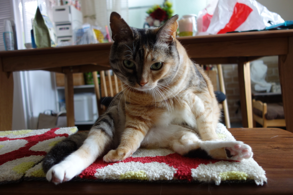 f:id:hiraryo0201:20160801100233j:plain f:id:hiraryo0201:20160801100233j:plain