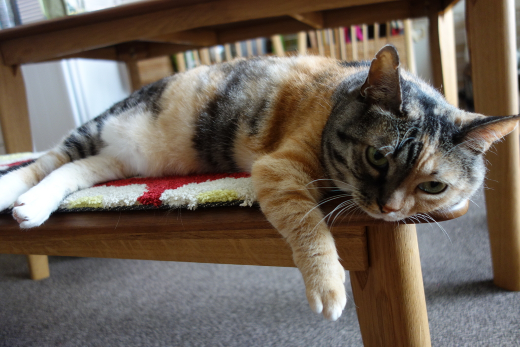 f:id:hiraryo0201:20160801100234j:plain f:id:hiraryo0201:20160801100234j:plain