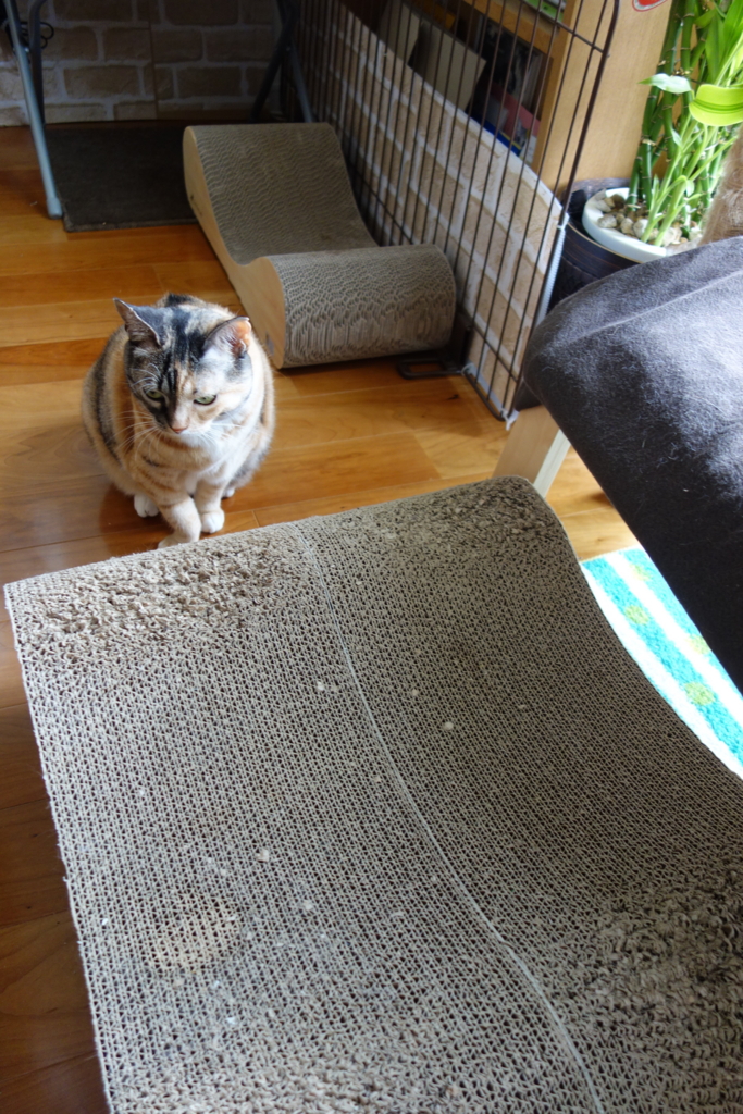 f:id:hiraryo0201:20160802094454j:plain f:id:hiraryo0201:20160802094454j:plain