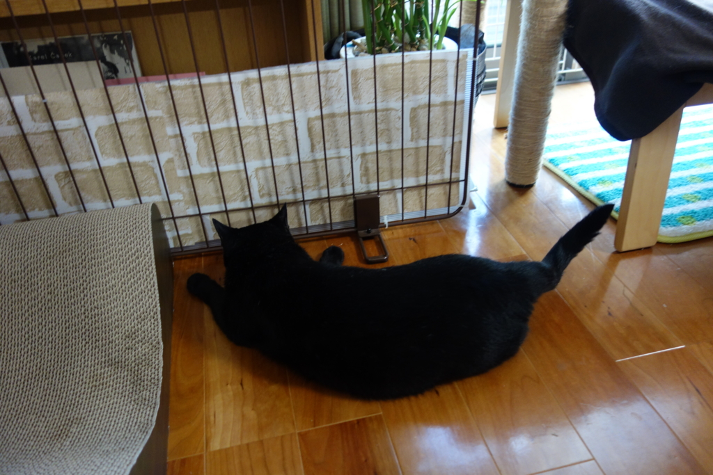 f:id:hiraryo0201:20160802094541j:plain f:id:hiraryo0201:20160802094541j:plain