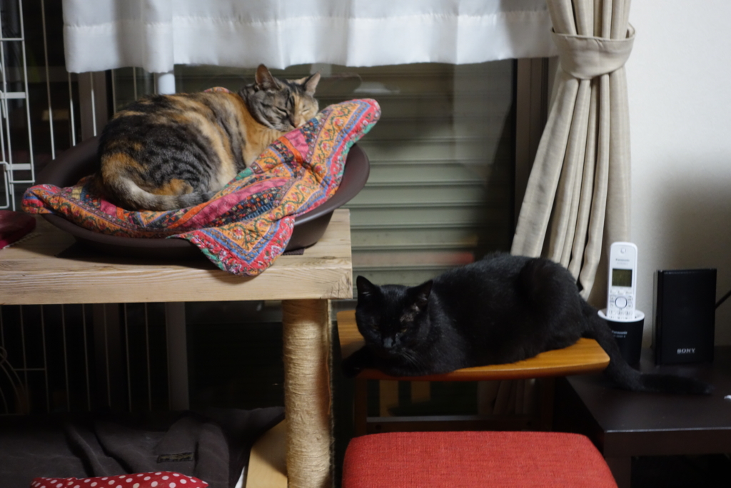 f:id:hiraryo0201:20160802094609j:plain f:id:hiraryo0201:20160802094609j:plain