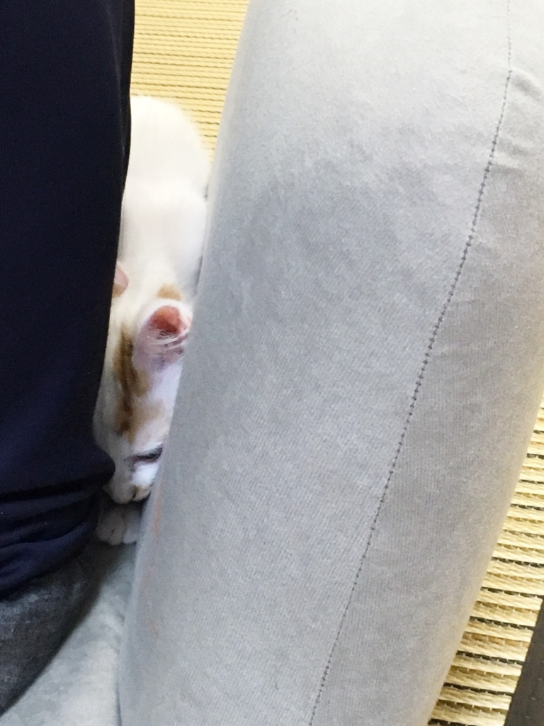 f:id:hiraryo0201:20160802100958j:plain f:id:hiraryo0201:20160802100958j:plain