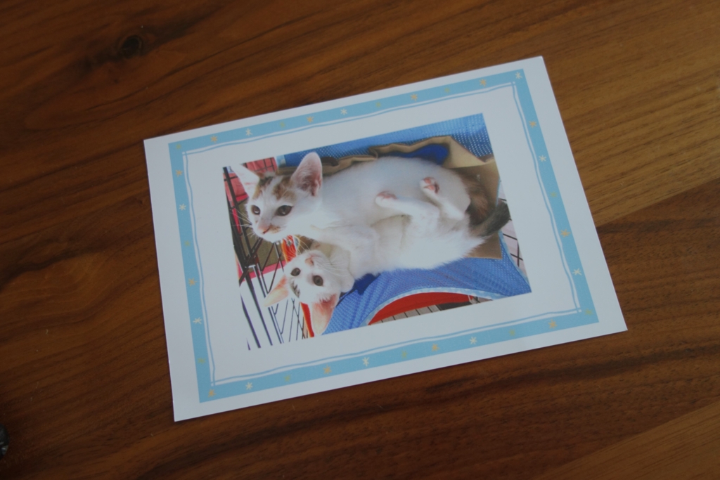 f:id:hiraryo0201:20160803081241j:plain f:id:hiraryo0201:20160803081241j:plain