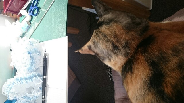 f:id:hiraryo0201:20160806100451j:plain f:id:hiraryo0201:20160806100451j:plain