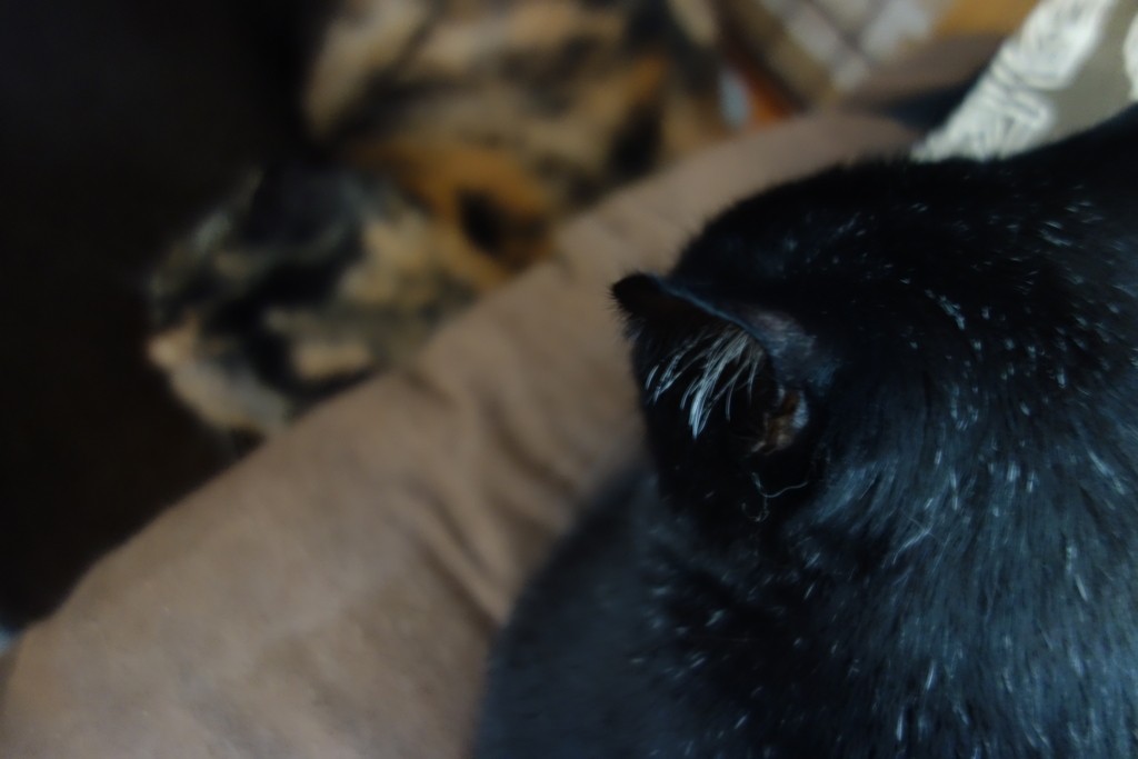 f:id:hiraryo0201:20160806101915j:plain f:id:hiraryo0201:20160806101915j:plain