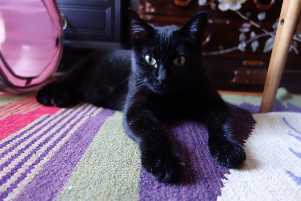 f:id:hiraryo0201:20160817085228j:plain