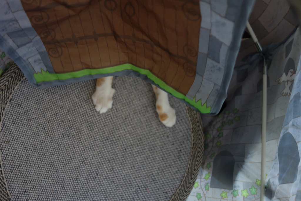 f:id:hiraryo0201:20160818091721j:plain f:id:hiraryo0201:20160818091721j:plain