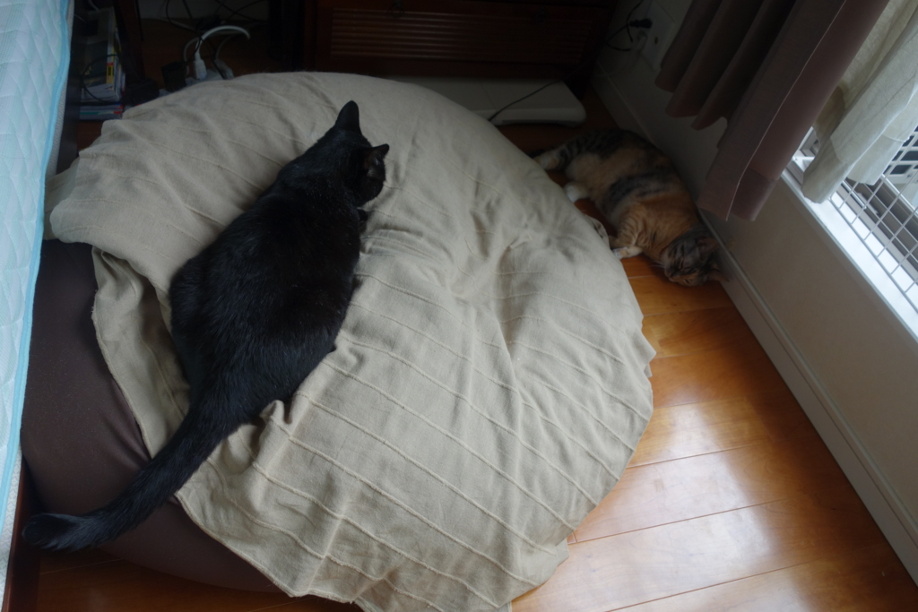 f:id:hiraryo0201:20160821105154j:plain f:id:hiraryo0201:20160821105154j:plain