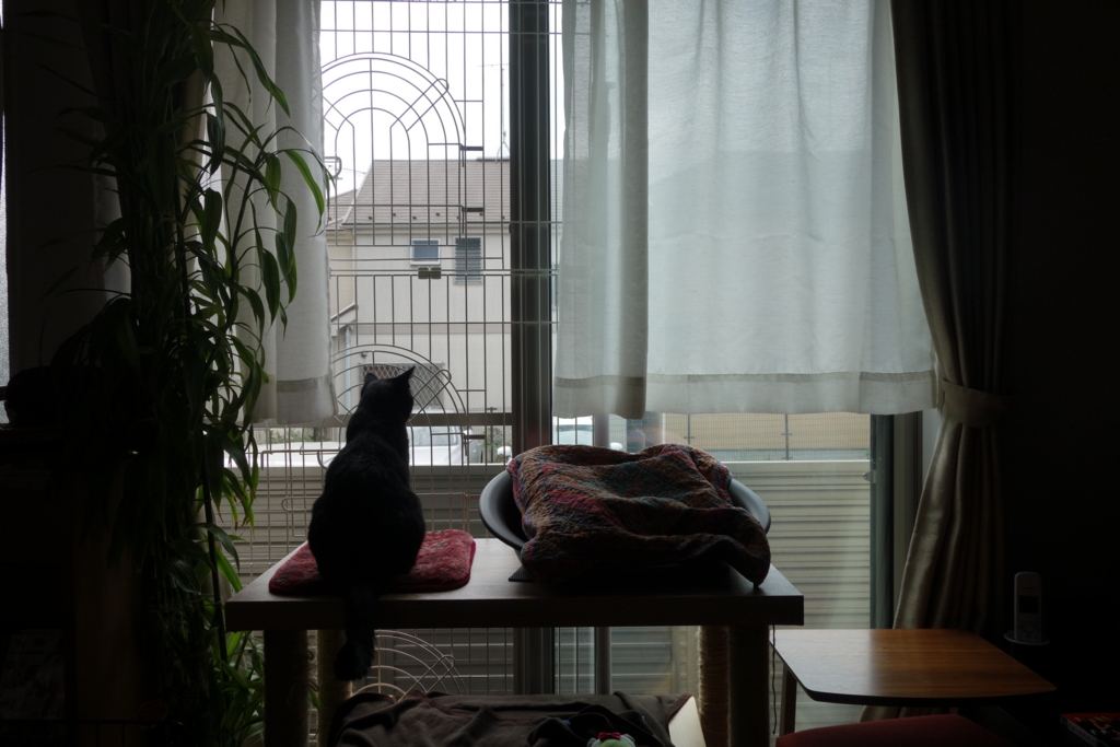 f:id:hiraryo0201:20160823101341j:plain f:id:hiraryo0201:20160823101341j:plain