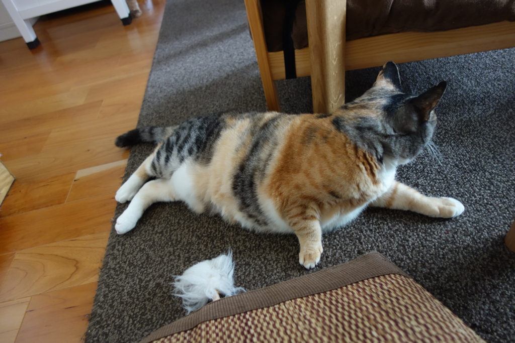 f:id:hiraryo0201:20160825091434j:plain f:id:hiraryo0201:20160825091434j:plain