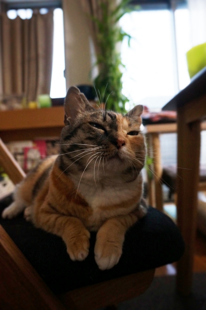 f:id:hiraryo0201:20160829094955j:plain f:id:hiraryo0201:20160829094955j:plain