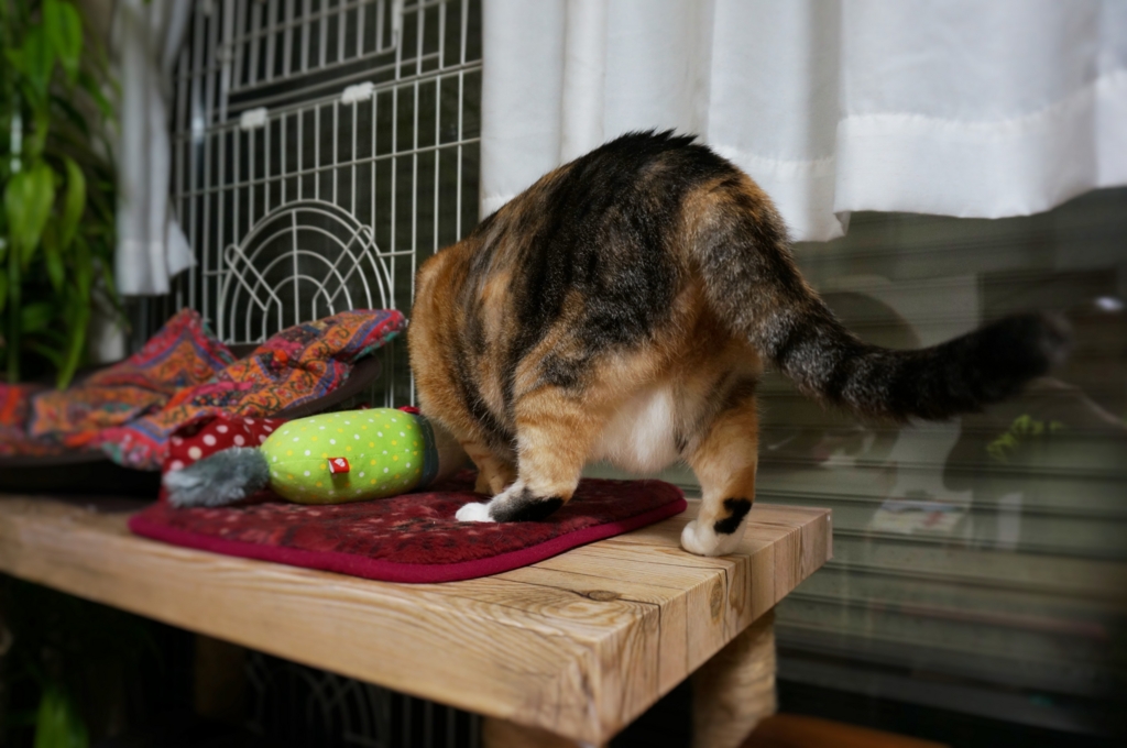 f:id:hiraryo0201:20160829095106j:plain f:id:hiraryo0201:20160829095106j:plain