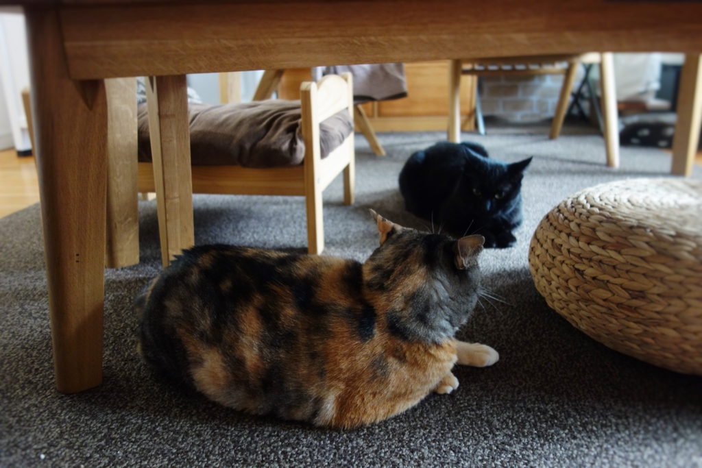 f:id:hiraryo0201:20160905075521j:plain f:id:hiraryo0201:20160905075521j:plain