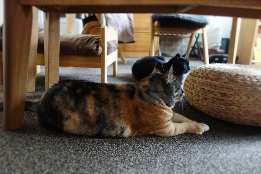 f:id:hiraryo0201:20160905075531j:plain f:id:hiraryo0201:20160905075531j:plain