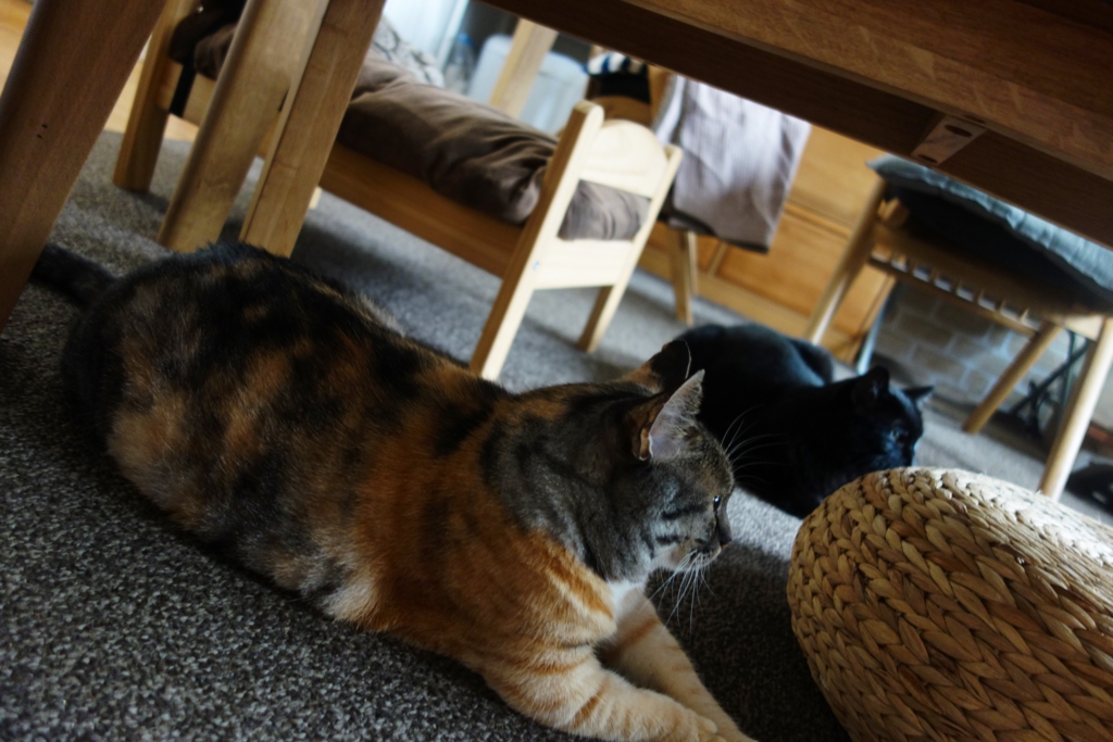 f:id:hiraryo0201:20160905075552j:plain f:id:hiraryo0201:20160905075552j:plain