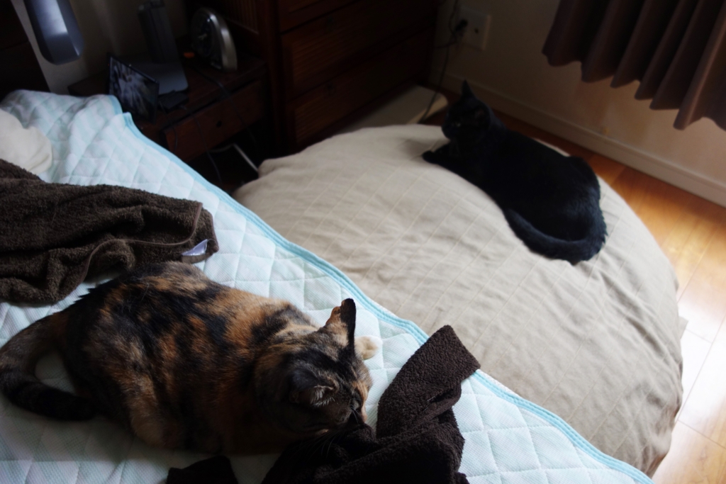 f:id:hiraryo0201:20160905075607j:plain f:id:hiraryo0201:20160905075607j:plain