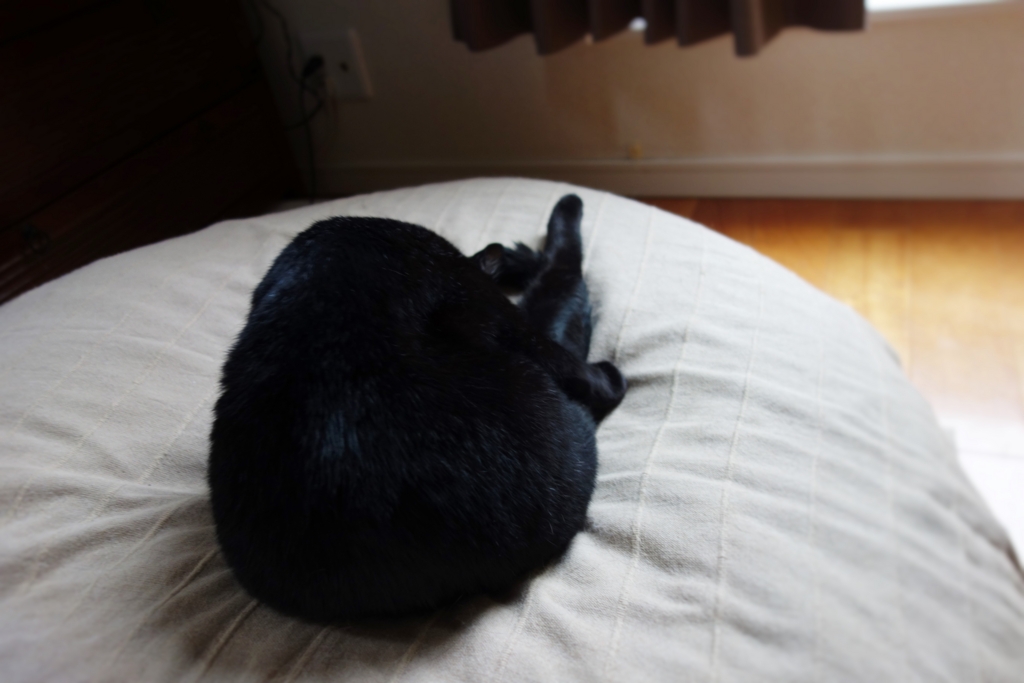 f:id:hiraryo0201:20160905075641j:plain f:id:hiraryo0201:20160905075641j:plain