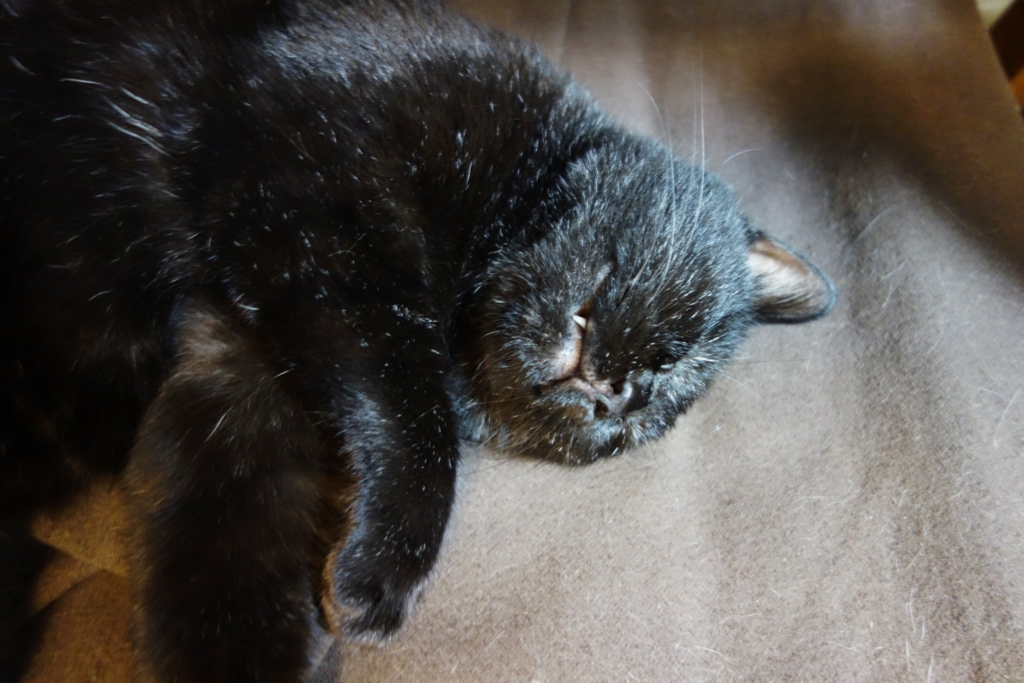 f:id:hiraryo0201:20160910100512j:plain f:id:hiraryo0201:20160910100512j:plain