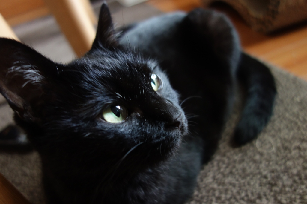 f:id:hiraryo0201:20160910100958j:plain f:id:hiraryo0201:20160910100958j:plain