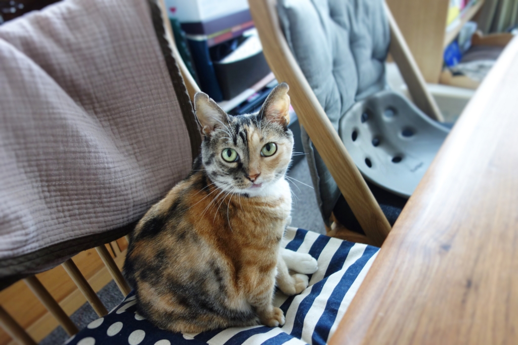 f:id:hiraryo0201:20160910101200j:plain f:id:hiraryo0201:20160910101200j:plain