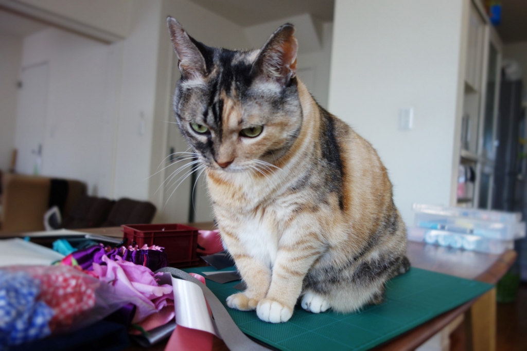 f:id:hiraryo0201:20160910101300j:plain f:id:hiraryo0201:20160910101300j:plain