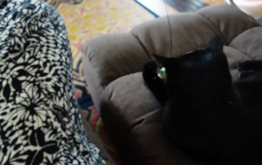 f:id:hiraryo0201:20160911073659j:plain f:id:hiraryo0201:20160911073659j:plain