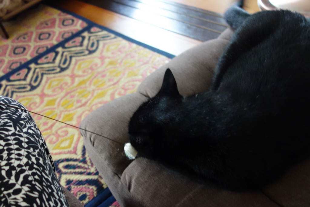 f:id:hiraryo0201:20160911073825j:plain f:id:hiraryo0201:20160911073825j:plain