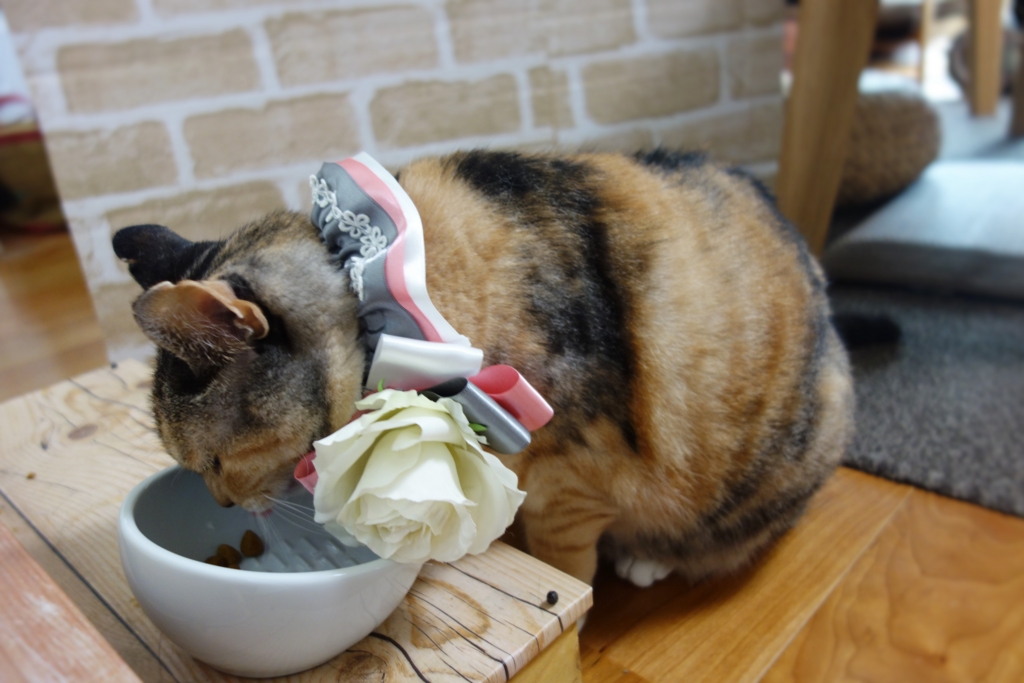 f:id:hiraryo0201:20160911074854j:plain f:id:hiraryo0201:20160911074854j:plain