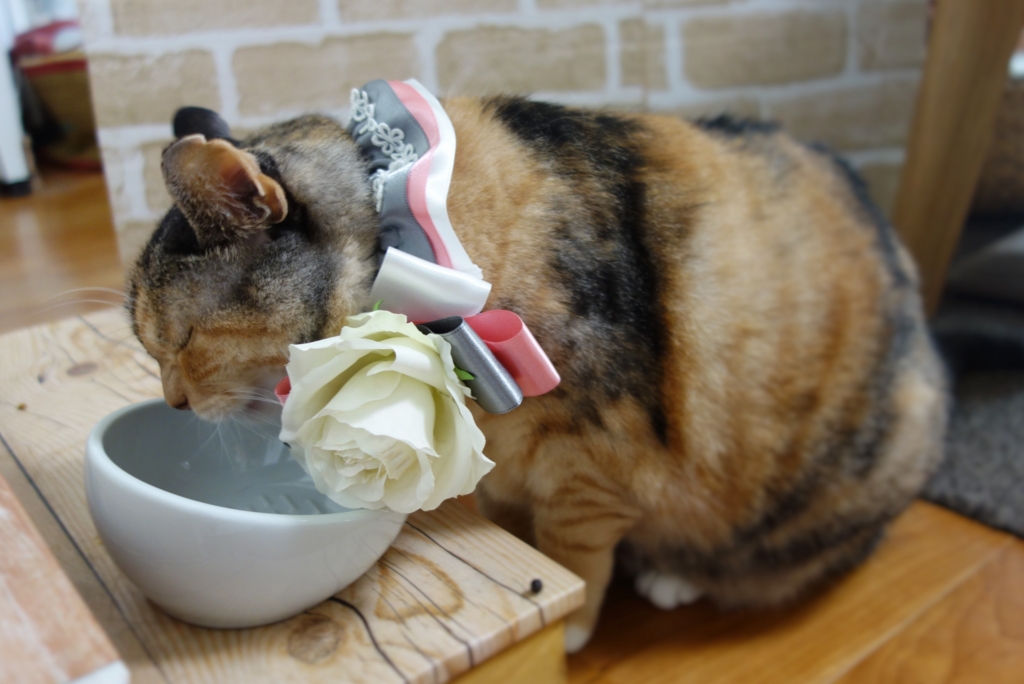 f:id:hiraryo0201:20160911075010j:plain f:id:hiraryo0201:20160911075010j:plain