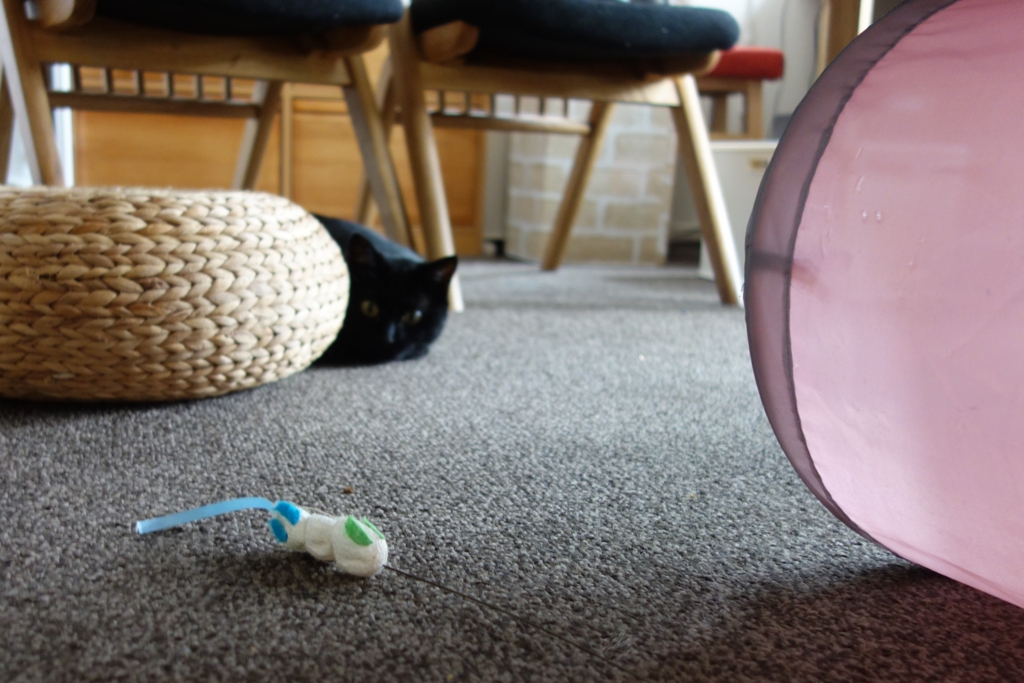 f:id:hiraryo0201:20160912104654j:plain f:id:hiraryo0201:20160912104654j:plain