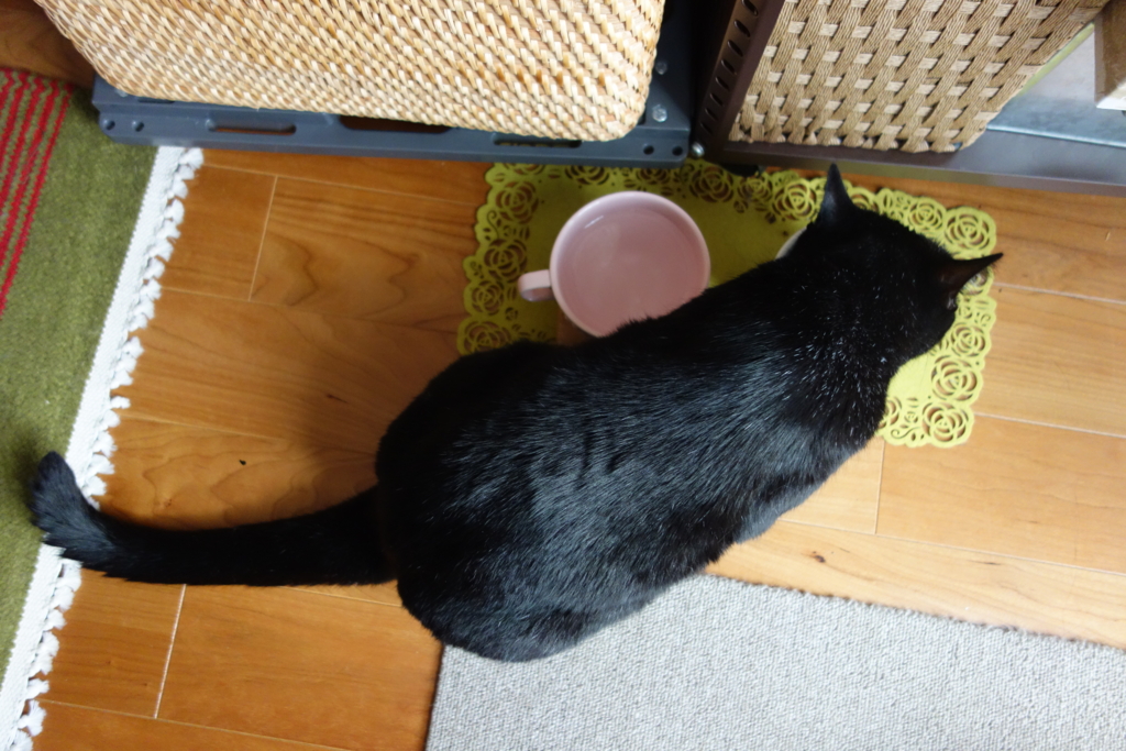 f:id:hiraryo0201:20160912110025j:plain