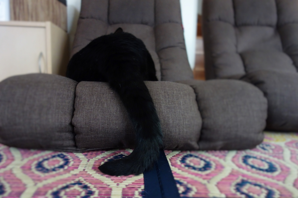 f:id:hiraryo0201:20160914095933j:plain f:id:hiraryo0201:20160914095933j:plain