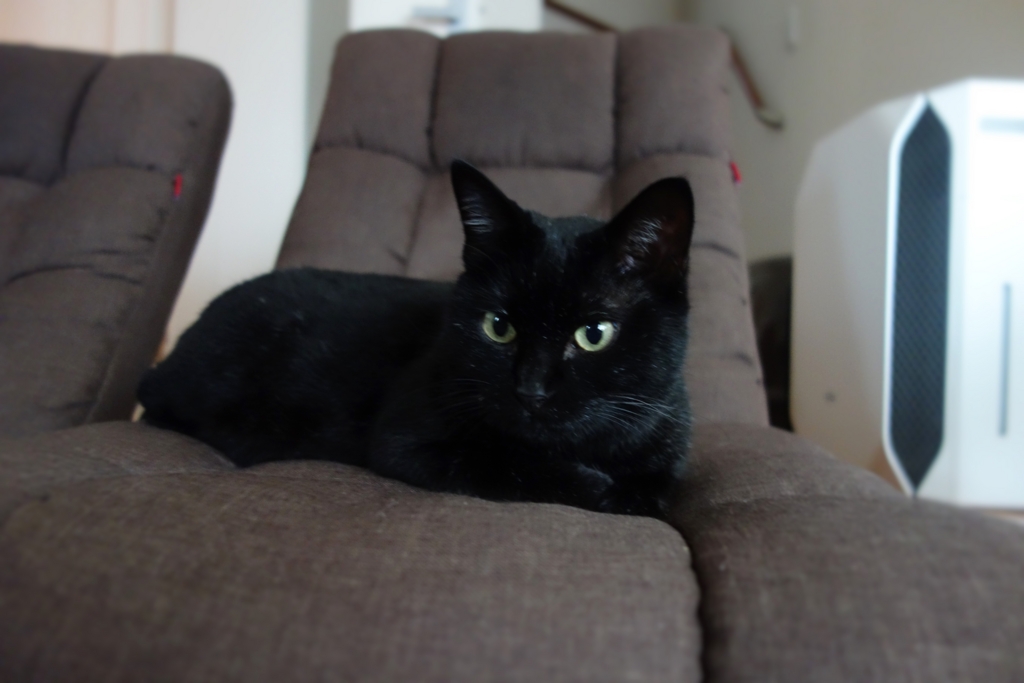 f:id:hiraryo0201:20160914100121j:plain f:id:hiraryo0201:20160914100121j:plain